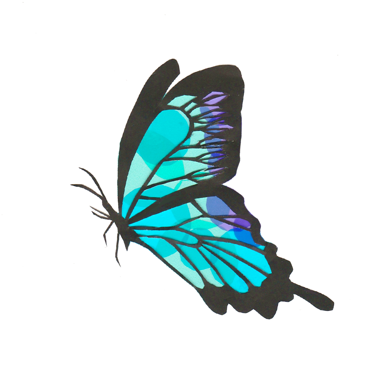 アゲハ蝶（オオルリアゲハ）　切り絵　セロファン